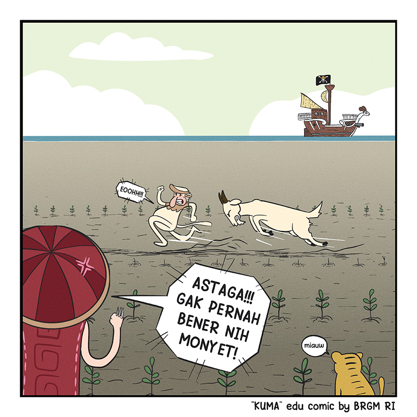 Image 1 - 24